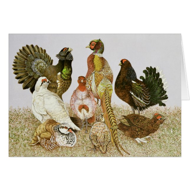 Game Birds (Front Horizontal)