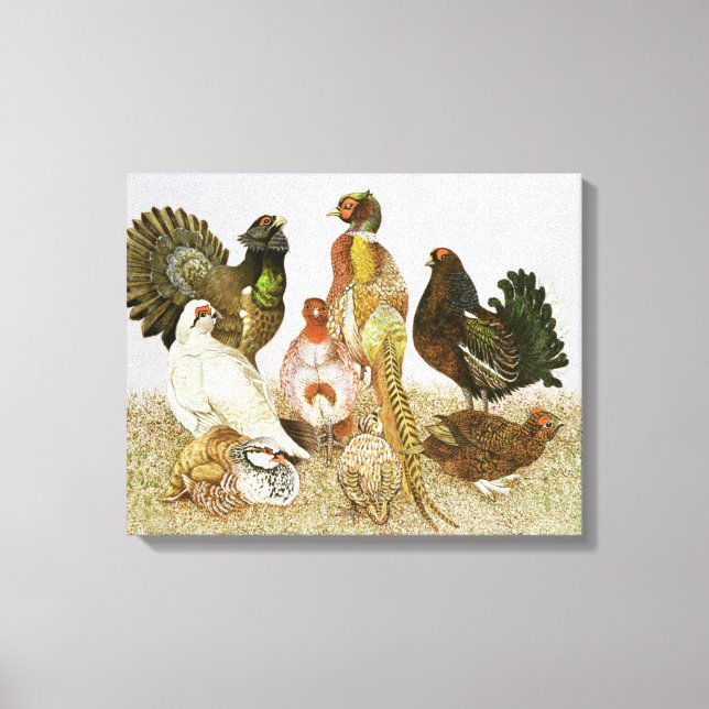 Game Birds Canvas Print (Front)
