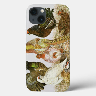 Game Birds iPhone 13 Case