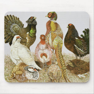 Game Birds Mouse Mat