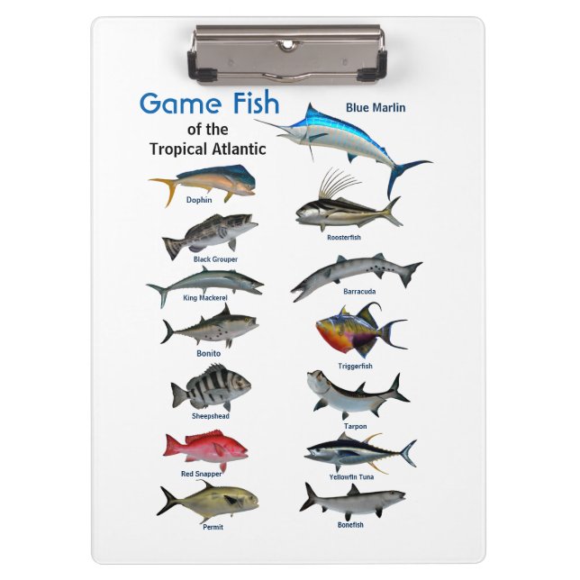 Game fish of the tropical Atlantic Clipboard (Front)