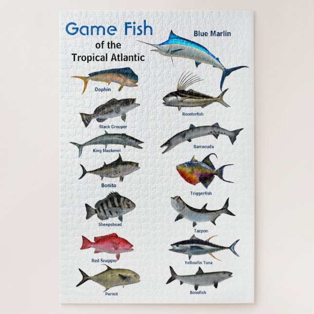 Game fish of the Tropical Atlantic Jigsaw Puzzle (Vertical)