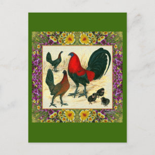 Game Fowl Flowered Frame Postcard