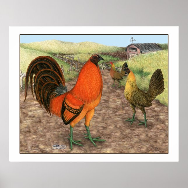 Game Fowl on the Farm Poster (Front)