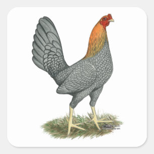Game Hen Blue Red Square Sticker