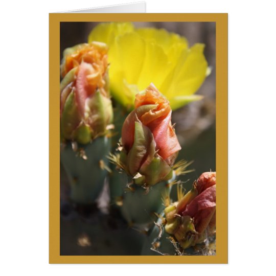 Game of Thorns Card