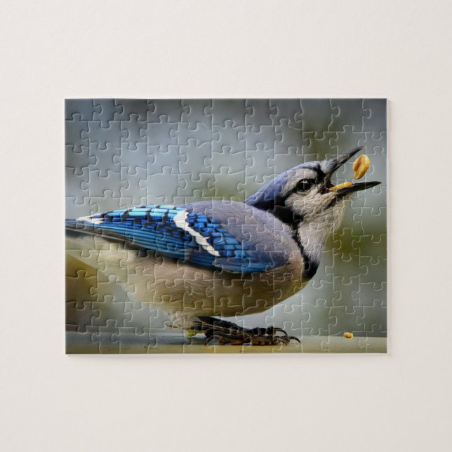 Game Puzzle Blue Jay (Horizontal)