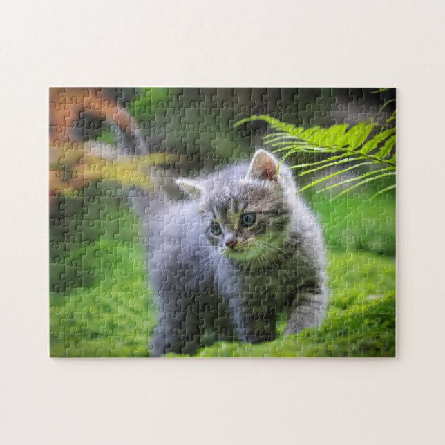 Game Puzzle-Kitten Jigsaw Puzzle (Horizontal)