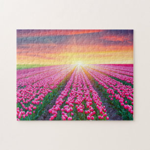 Game Puzzle-Tulip Field Jigsaw Puzzle