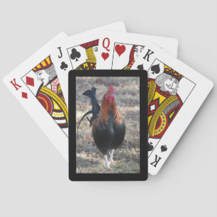 Game Rooster photo Playing Cards