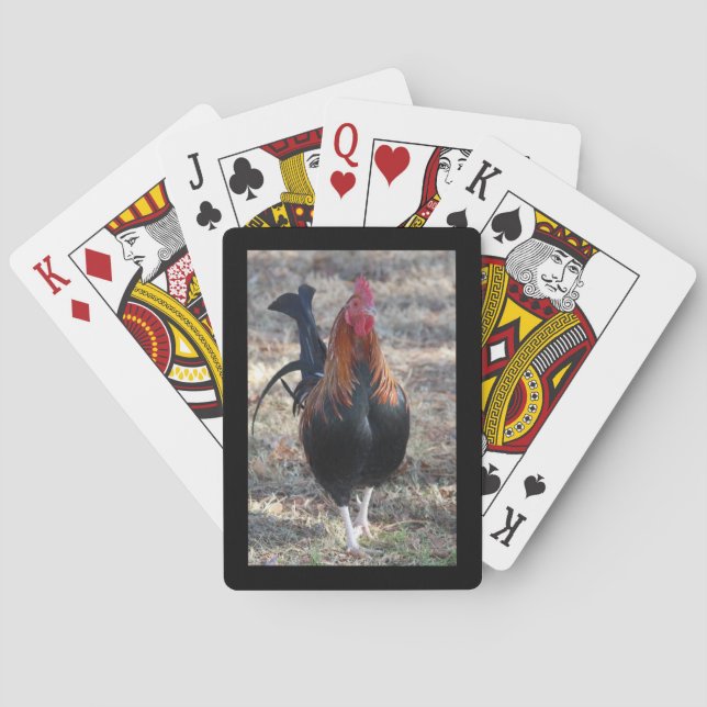 Game Rooster photo Playing Cards (Back)