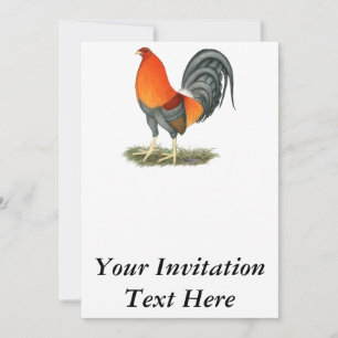 Gamecock Blue Red Invitation