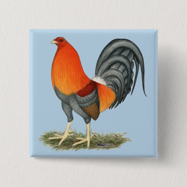 Gamecock Blue Red Rooster 15 Cm Square Badge (Front)