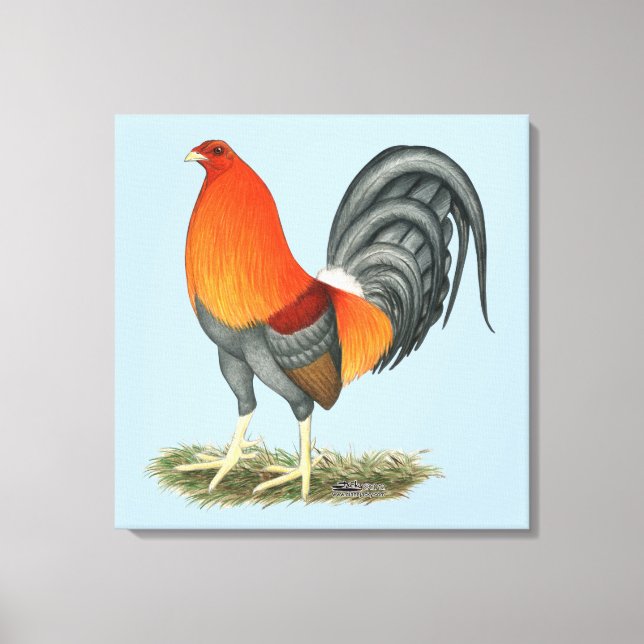 Gamecock Blue Red Rooster Canvas Print (Front)