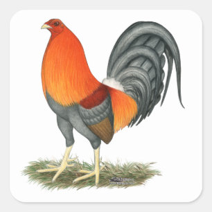 Gamecock Blue Red Rooster Square Sticker