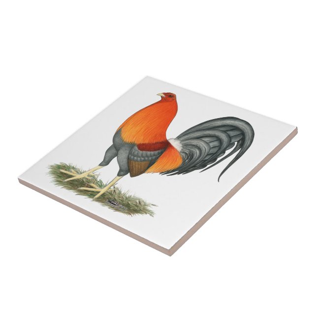 Gamecock Blue Red Rooster Tile (Side)