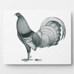 Gamecock Crele or Dom Plaque