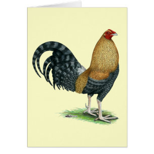 Gamecock:  Dom or Crele