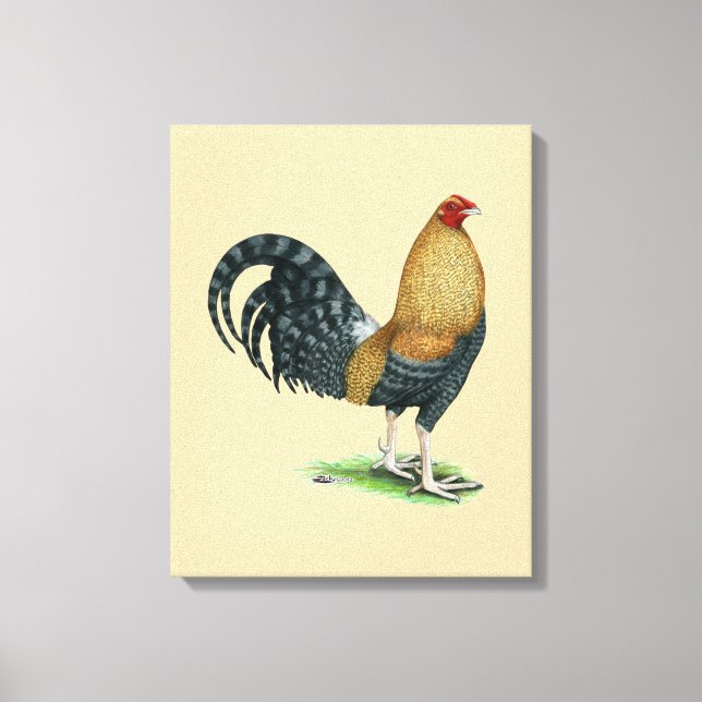 Gamecock:  Dom or Crele Canvas Print (Front)