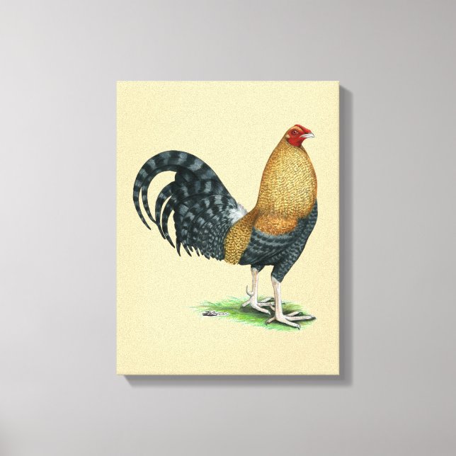 Gamecock:  Dom or Crele Canvas Print (Front)