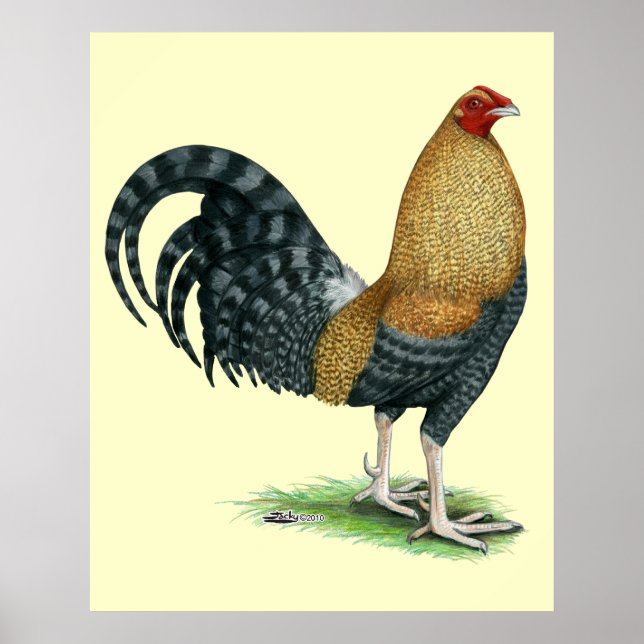 Gamecock:  Dom or Crele Poster (Front)