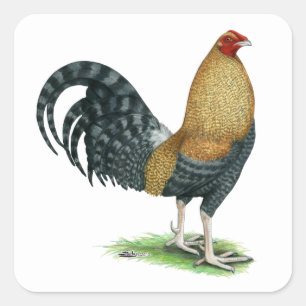 Gamecock:  Dom or Crele Square Sticker