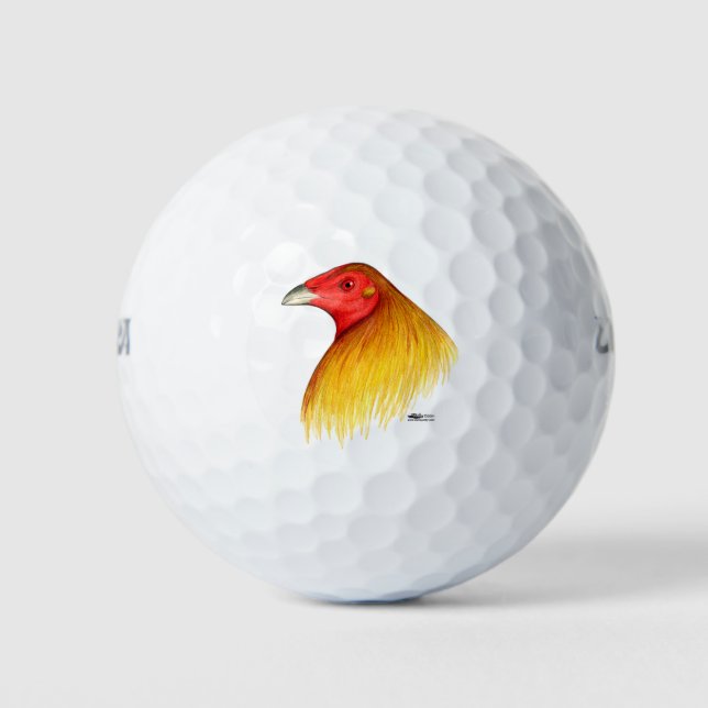 Gamecock Dubbed Golf Balls (Front)