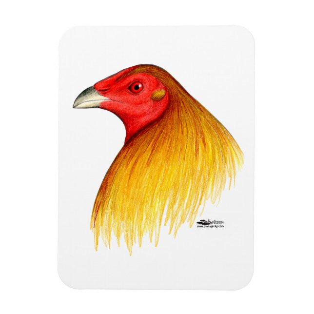 Gamecock Dubbed Magnet (Vertical)