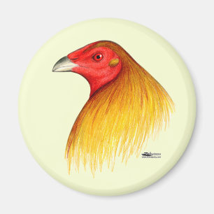 Gamecock Dubbed Magnet