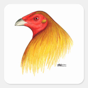 Gamecock Dubbed Square Sticker