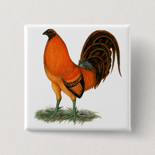 Gamecock Ginger Red Rooster 15 Cm Square Badge