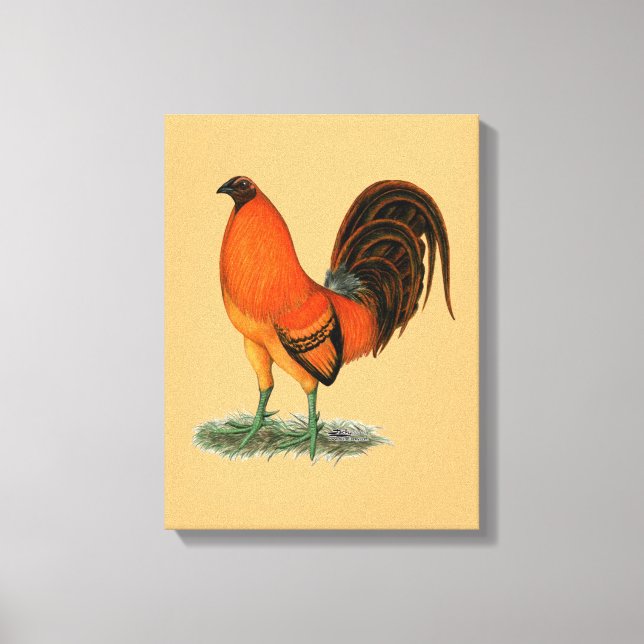 Gamecock Ginger Red Rooster Canvas Print (Front)