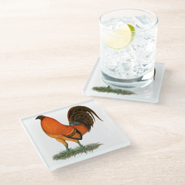 Gamecock Ginger Red Rooster Glass Coaster (Angled)