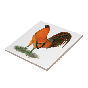 Gamecock Ginger Red Rooster Tile