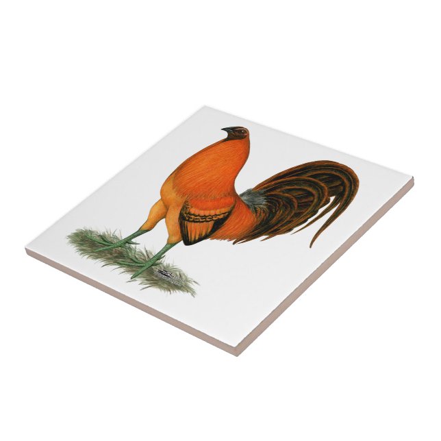 Gamecock Ginger Red Rooster Tile (Side)