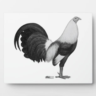 Gamecock Grey Duckwing Plaque