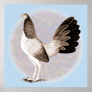 Gamecock:  Hennie Poster