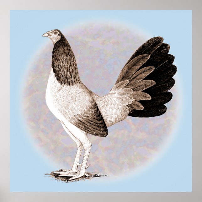 Gamecock:  Hennie Poster (Front)