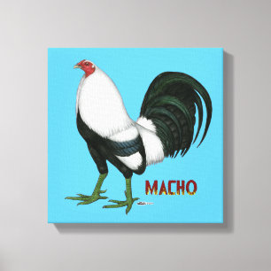 Gamecock Macho Duckwing Canvas Print
