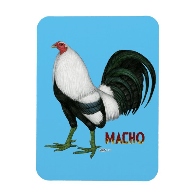 Gamecock Macho Duckwing Magnet (Vertical)