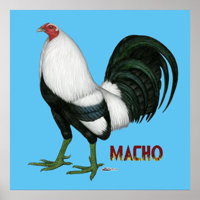 Gamecock Macho Duckwing Poster (Front)