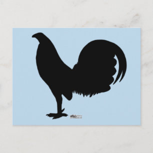 Gamecock Rooster Silhouette Postcard