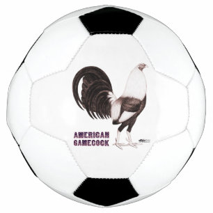 Gamecock Sepia Football