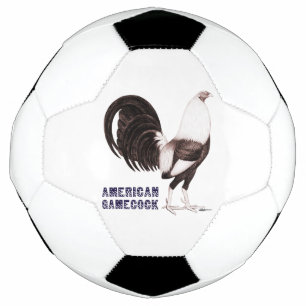 Gamecock Sepia Football