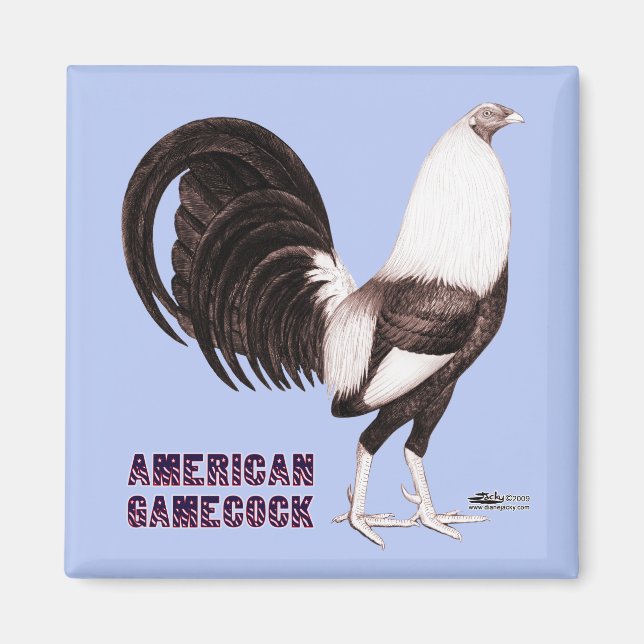 Gamecock Sepia Magnet (Front)