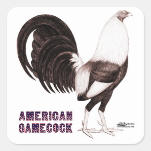 Gamecock Sepia Square Sticker