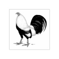 Gamecock Silver Duckwing