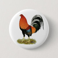 Gamecock Wheaten Rooster