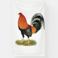 Gamecock Wheaten Rooster