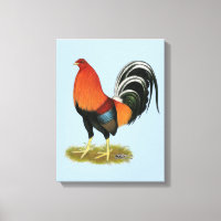 Gamecock Wheaten Rooster